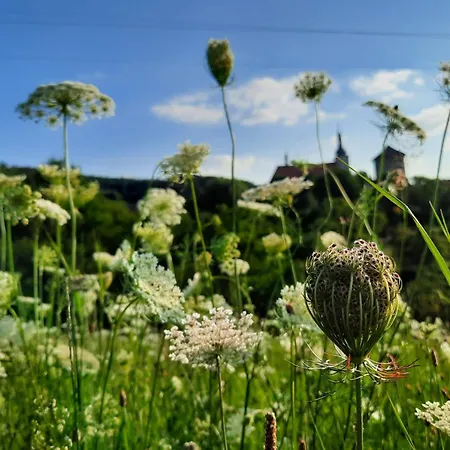 Chaticka Hanicka U Lesa * Střílky