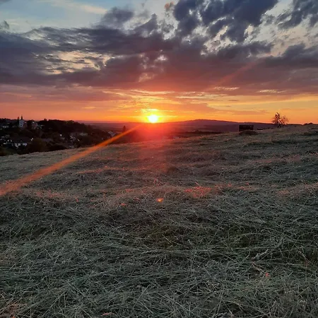 Chaticka Hanicka U Lesa Nyaraló *