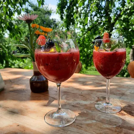 Chaticka Hanicka U Lesa *