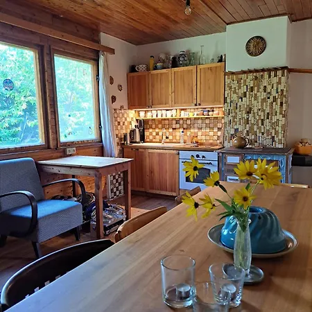 Chaticka Hanicka U Lesa Nyaraló